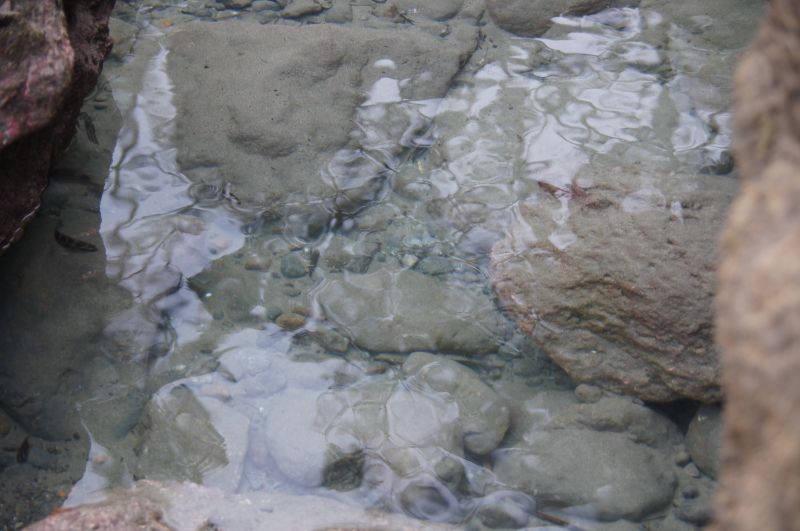 Viewing photos→2016→2016-12-11→217