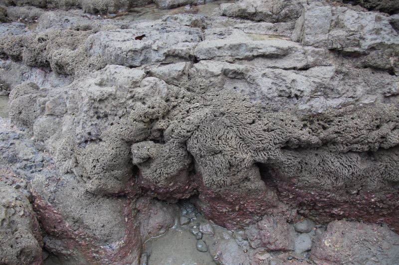 Viewing photos→2016→2016-12-11→220