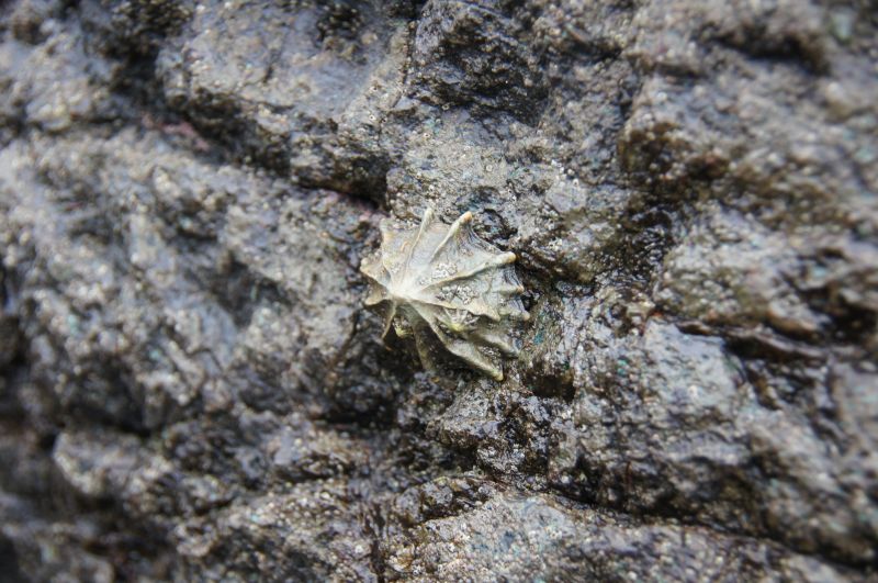 Viewing photos→2016→2016-12-11→222