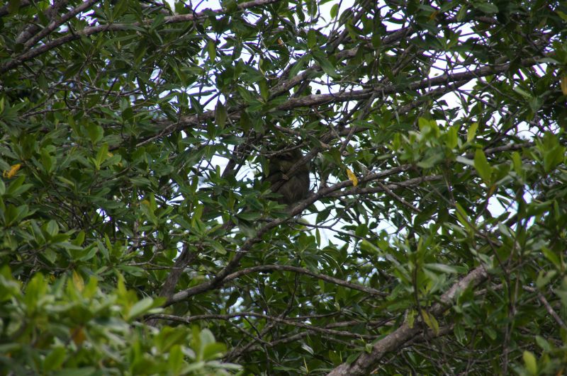 Viewing photos→2016→2016-12-11→236