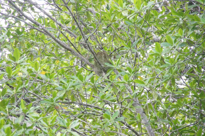 Viewing photos→2016→2016-12-11→239