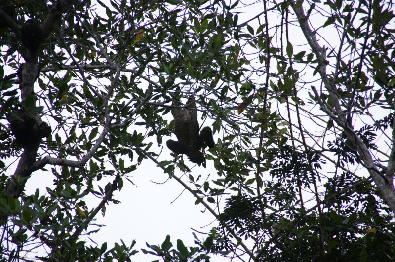 Viewing photos→2016→2016-12-11→240