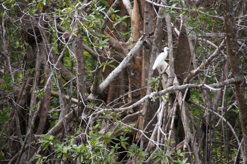 Viewing photos→2016→2016-12-11→245