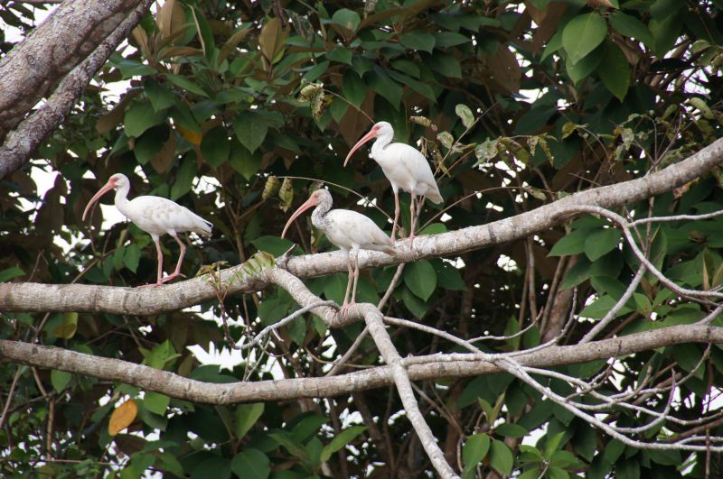 Viewing photos→2016→2016-12-11→252