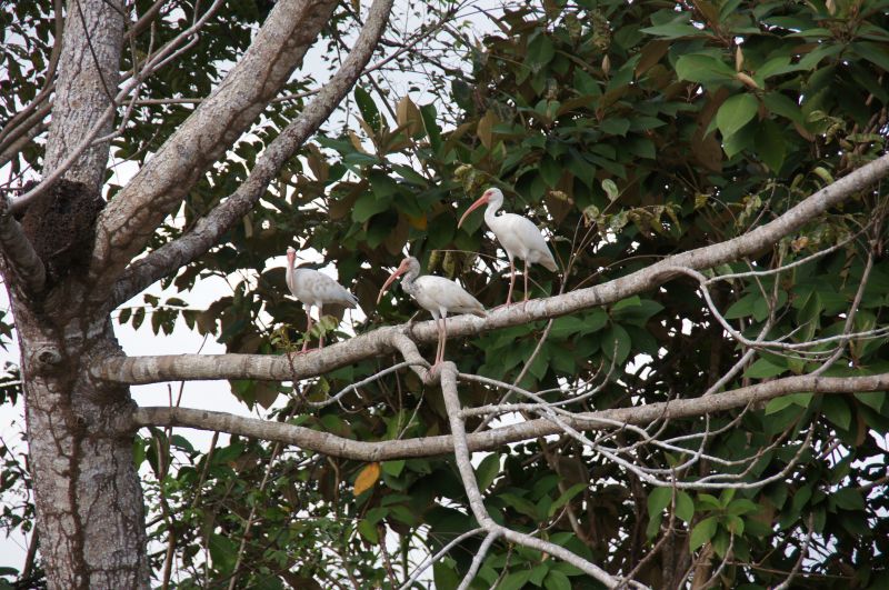 Viewing photos→2016→2016-12-11→253