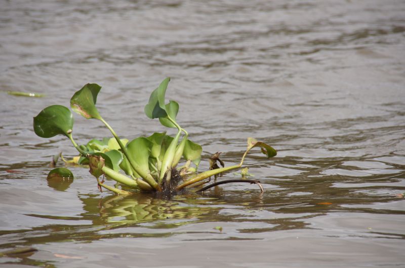 Viewing photos→2016→2016-12-11→258