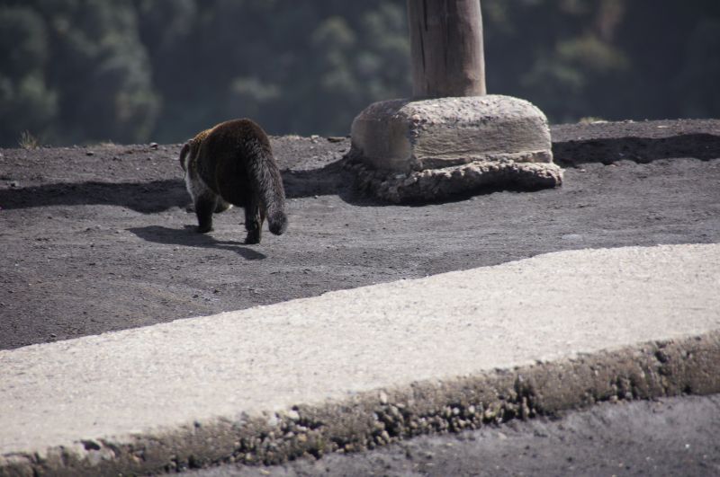 Viewing photos→2016→2016-12-14→08