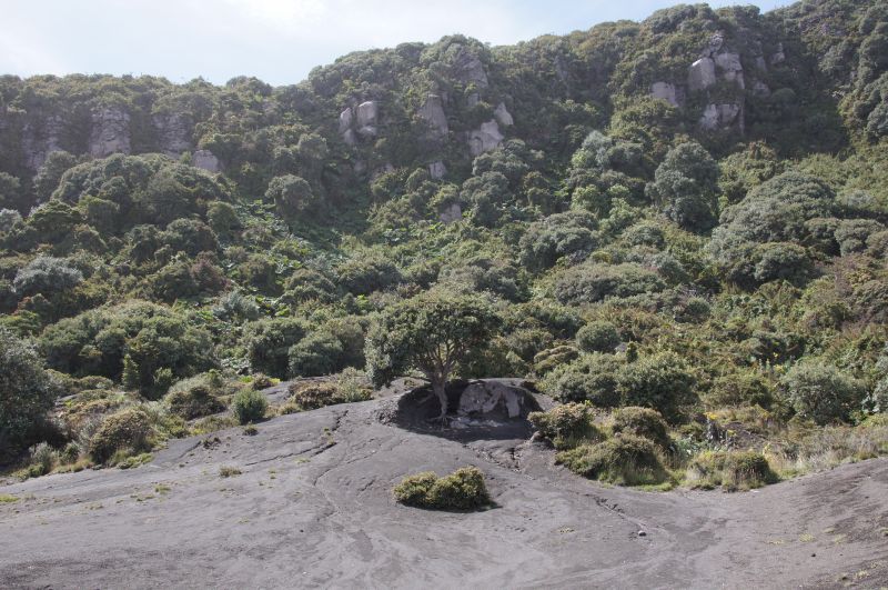 Viewing photos→2016→2016-12-14→23