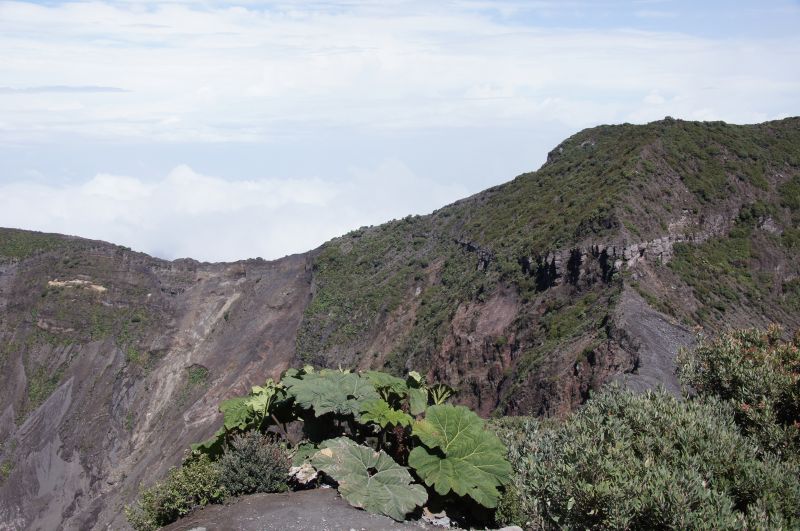 Viewing photos→2016→2016-12-14→32