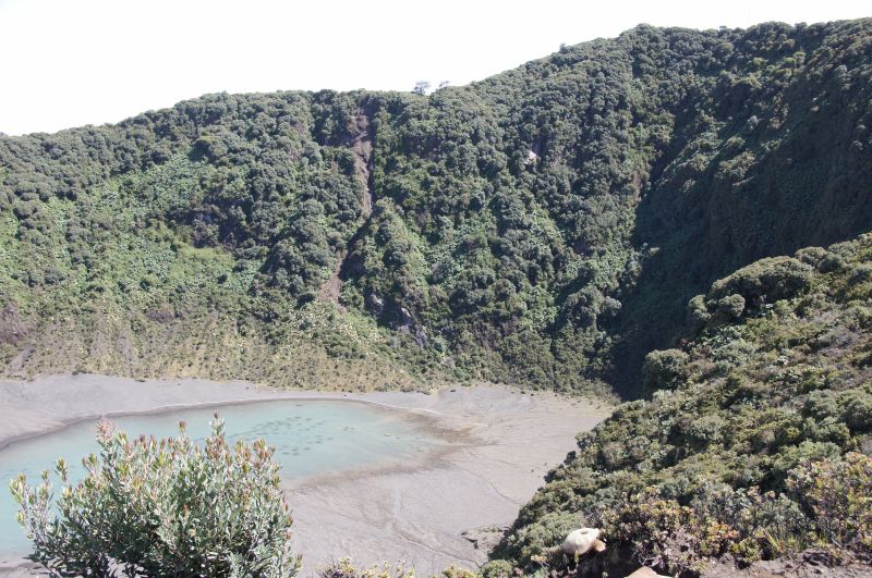 Viewing photos→2016→2016-12-14→35