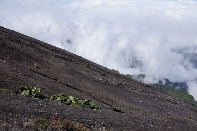 Viewing photos→2016→2016-12-14→53