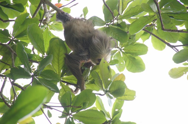 Viewing photos→2016→2016-12-15→03