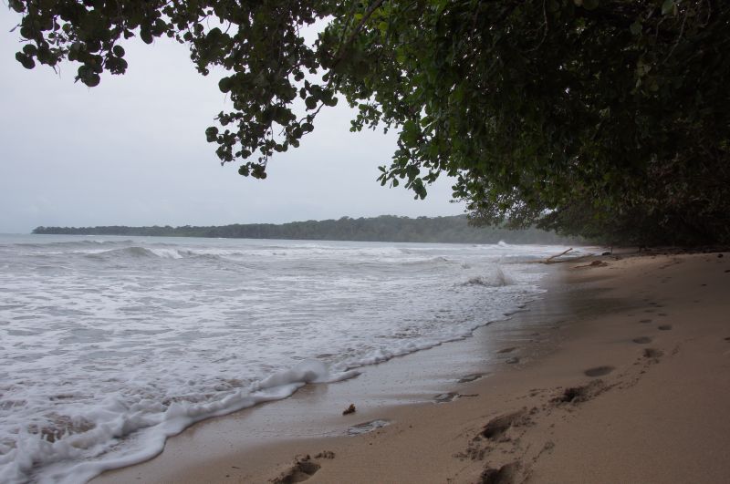 Viewing photos→2016→2016-12-15→05