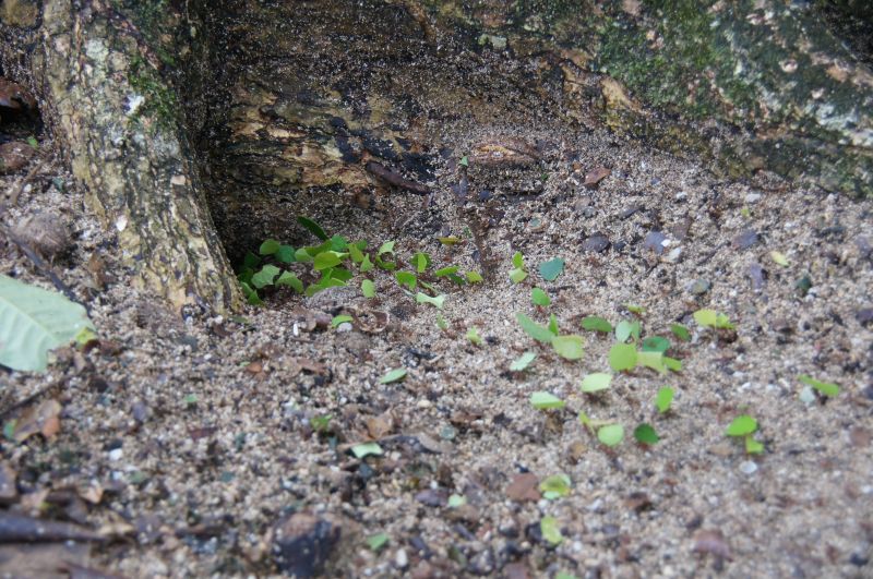 Viewing photos→2016→2016-12-15→08