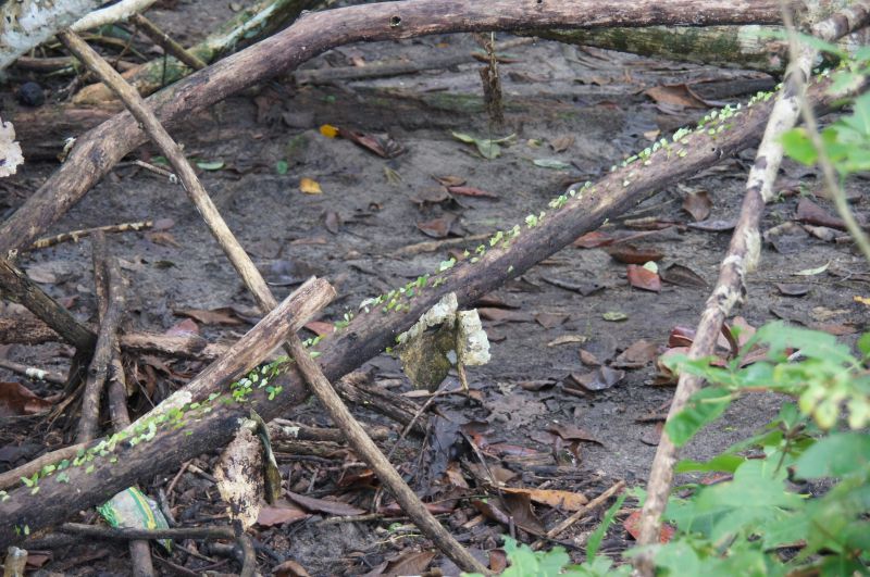 Viewing photos→2016→2016-12-15→09