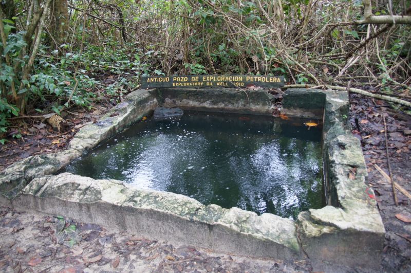 Viewing photos→2016→2016-12-15→11