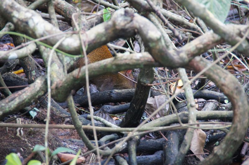 Viewing photos→2016→2016-12-15→15