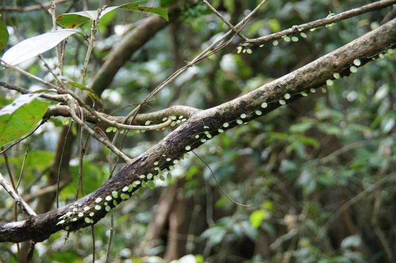 Viewing photos→2016→2016-12-15→21