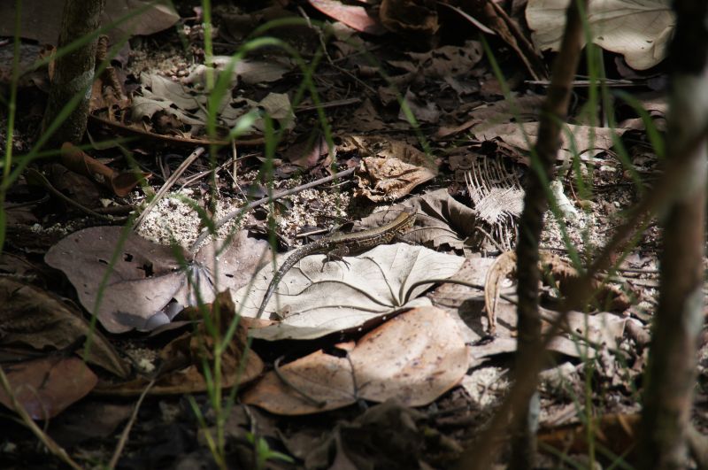 Viewing photos→2016→2016-12-15→22