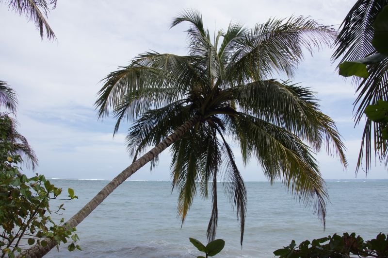 Viewing photos→2016→2016-12-15→23