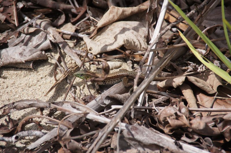 Viewing photos→2016→2016-12-15→25