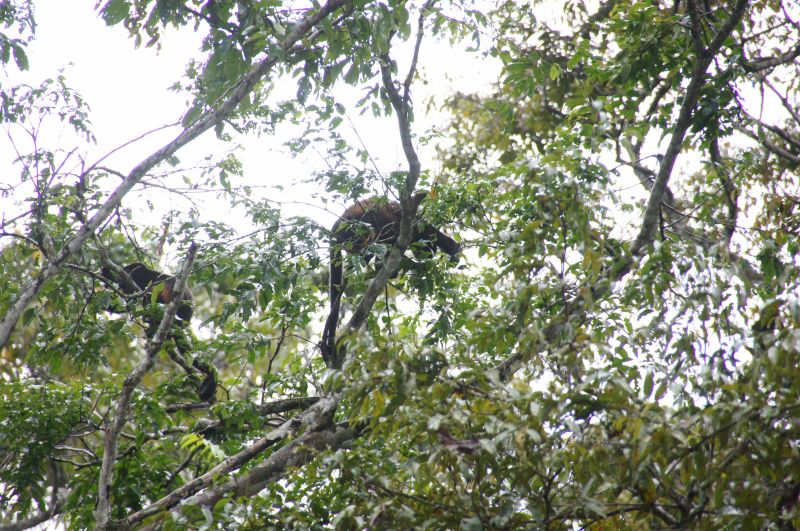 Viewing photos→2016→2016-12-16→002