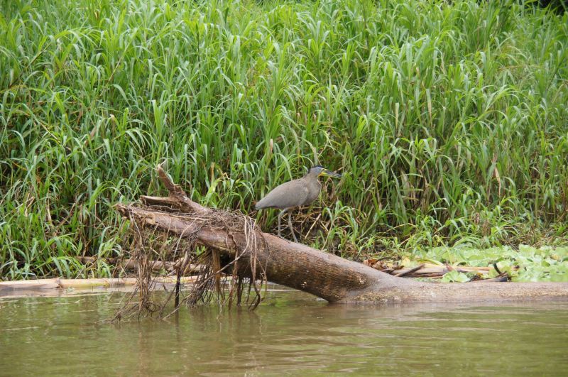 Viewing photos→2016→2016-12-16→005