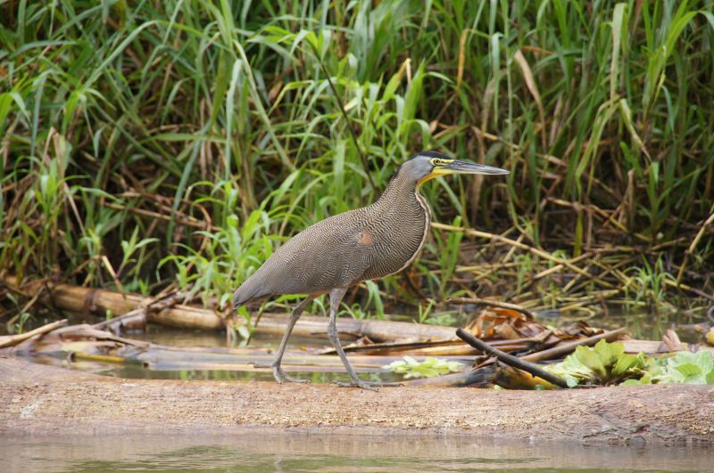 Viewing photos→2016→2016-12-16→006