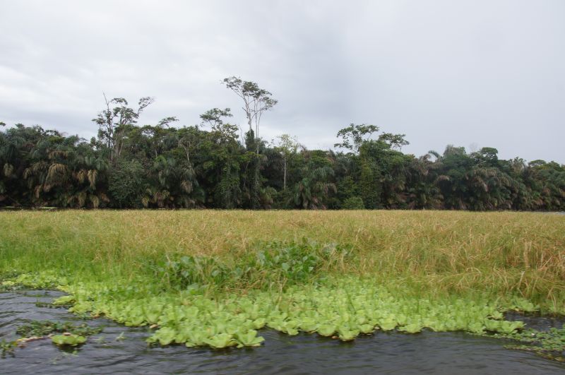 Viewing photos→2016→2016-12-16→008