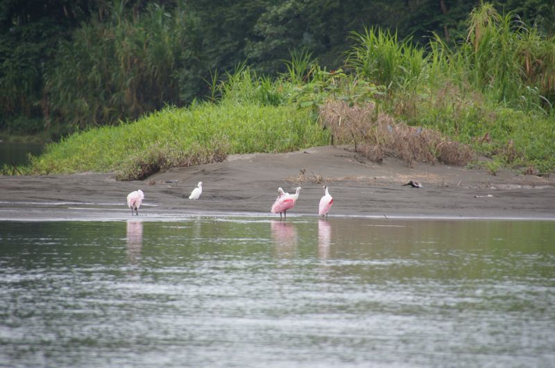 Viewing photos→2016→2016-12-16→017