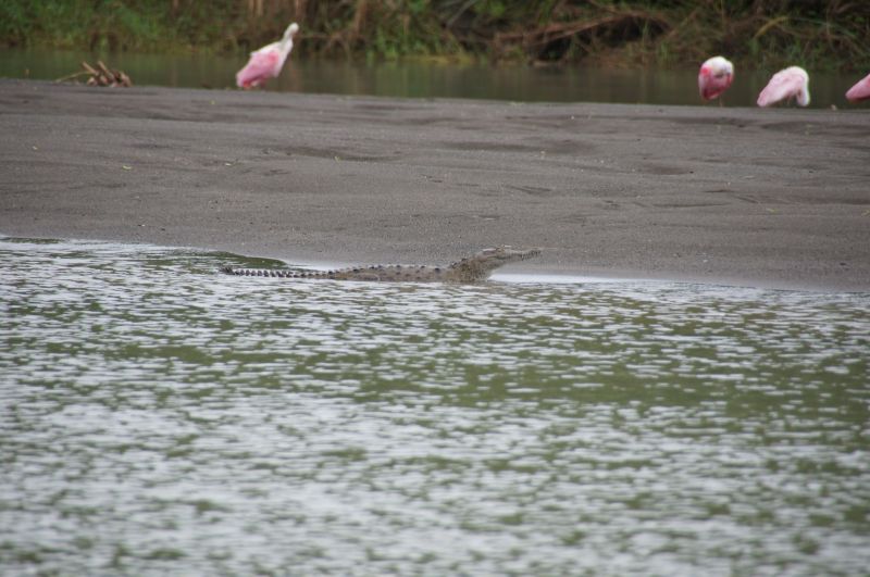 Viewing photos→2016→2016-12-16→019