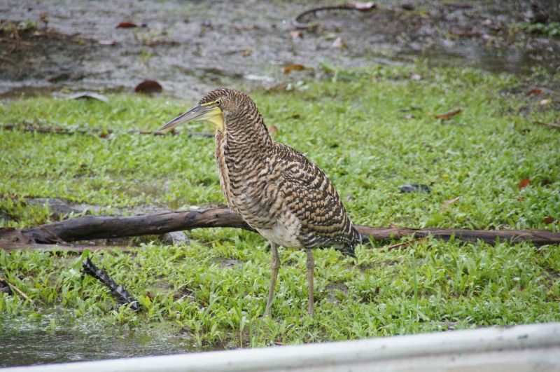 Viewing photos→2016→2016-12-16→023