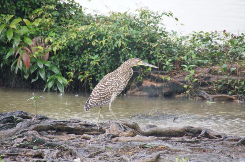 Viewing photos→2016→2016-12-16→024