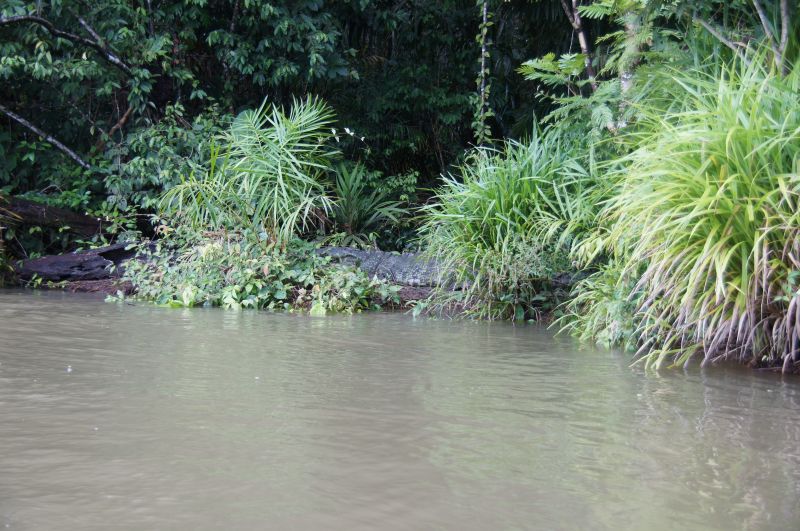 Viewing photos→2016→2016-12-16→026