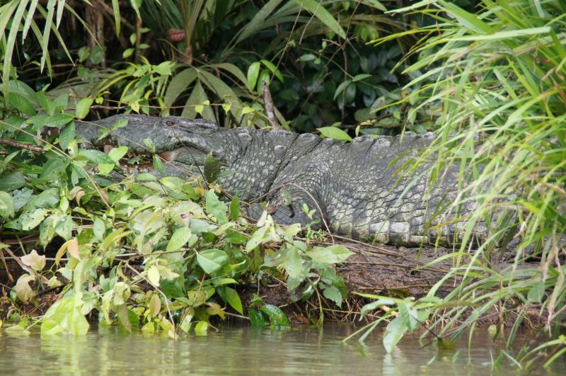 Viewing photos→2016→2016-12-16→027