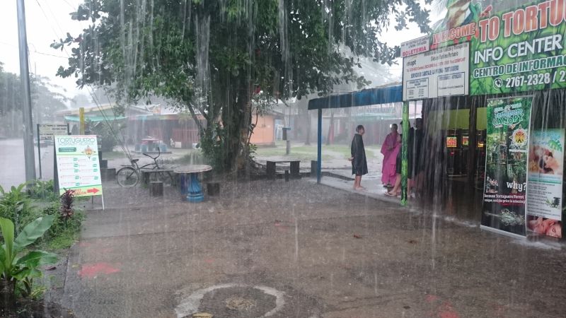 Viewing photos→2016→2016-12-16→029