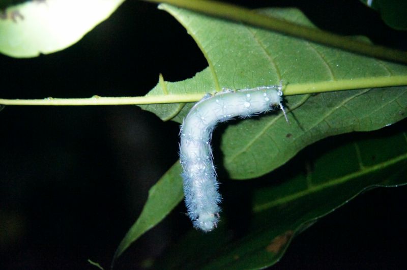 Viewing photos→2016→2016-12-16→032