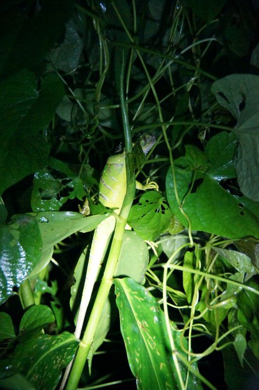 Viewing photos→2016→2016-12-16→034