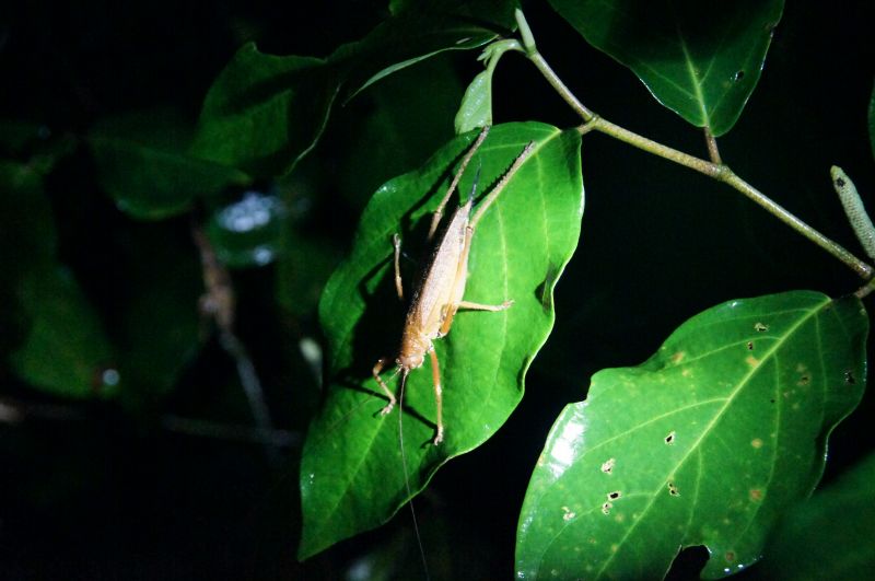 Viewing photos→2016→2016-12-16→037