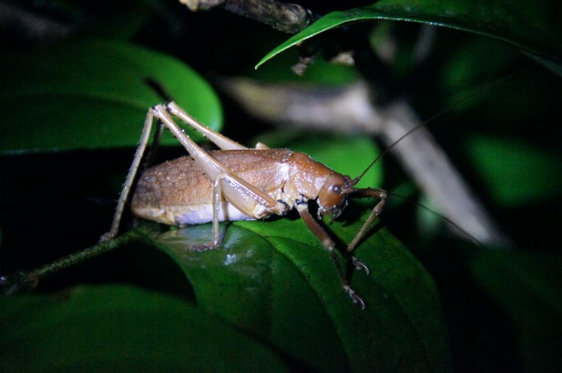 Viewing photos→2016→2016-12-16→041