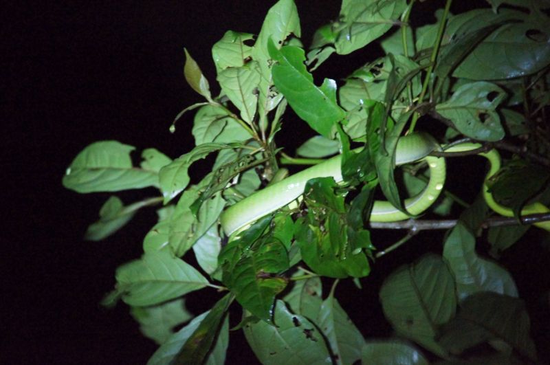 Viewing photos→2016→2016-12-16→042