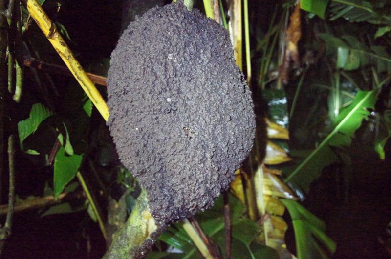 Viewing photos→2016→2016-12-16→044