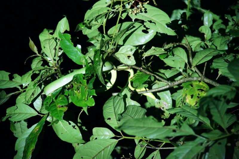 Viewing photos→2016→2016-12-16→048