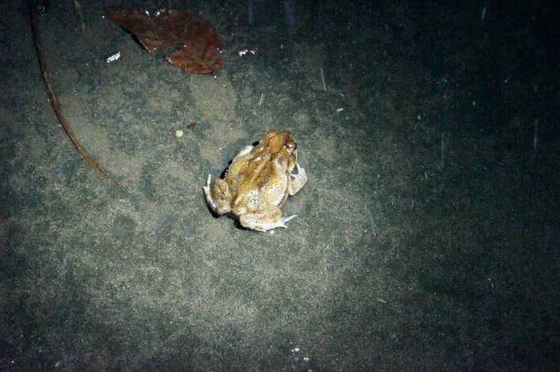 Viewing photos→2016→2016-12-16→051