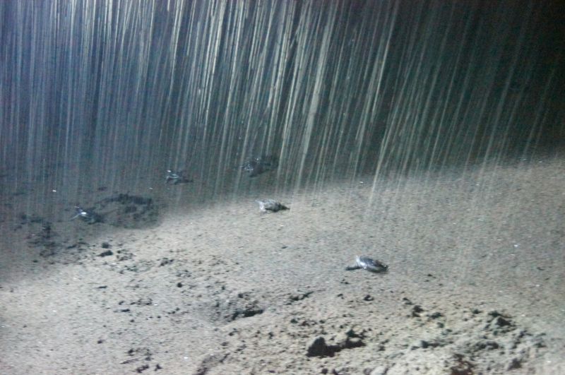 Viewing photos→2016→2016-12-16→058