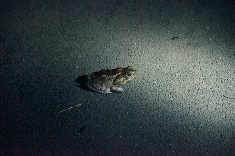 Viewing photos→2016→2016-12-16→059