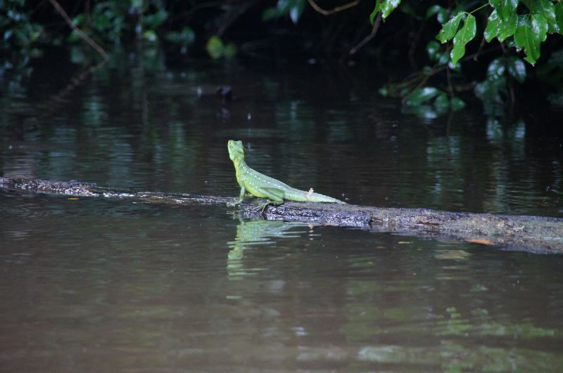 Viewing photos→2016→2016-12-16→061