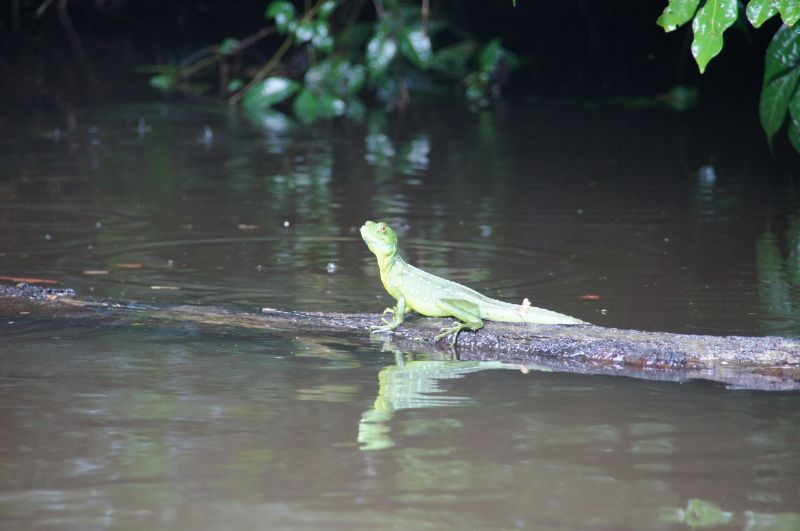 Viewing photos→2016→2016-12-16→063