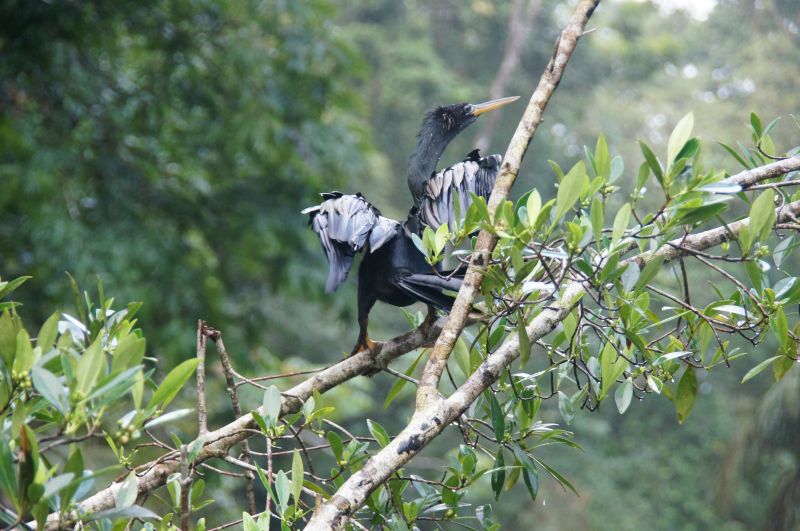 Viewing photos→2016→2016-12-16→066