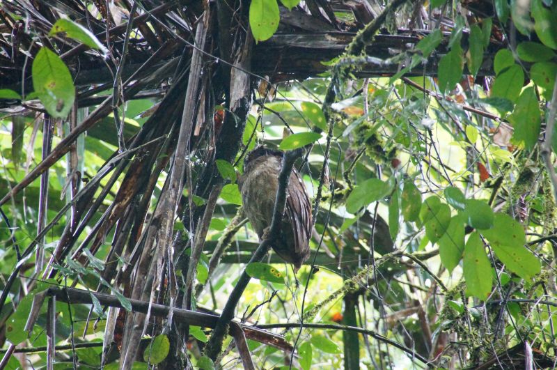 Viewing photos→2016→2016-12-16→068